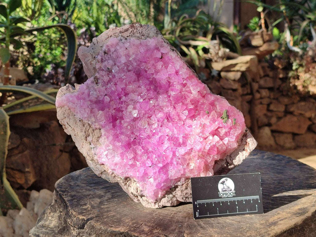 Natural XL Ultra Rare Cobaltion Rhodocalcite Specimen x 1 From Mashamba West, Congo - Toprock Gemstones and Minerals 