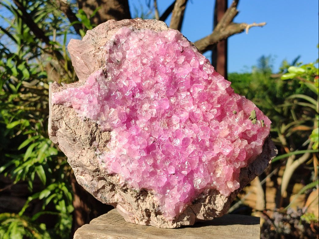 Natural XL Ultra Rare Cobaltion Rhodocalcite Specimen x 1 From Mashamba West, Congo - Toprock Gemstones and Minerals 