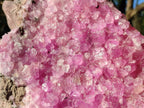Natural XL Ultra Rare Cobaltion Rhodocalcite Specimen x 1 From Mashamba West, Congo - Toprock Gemstones and Minerals 