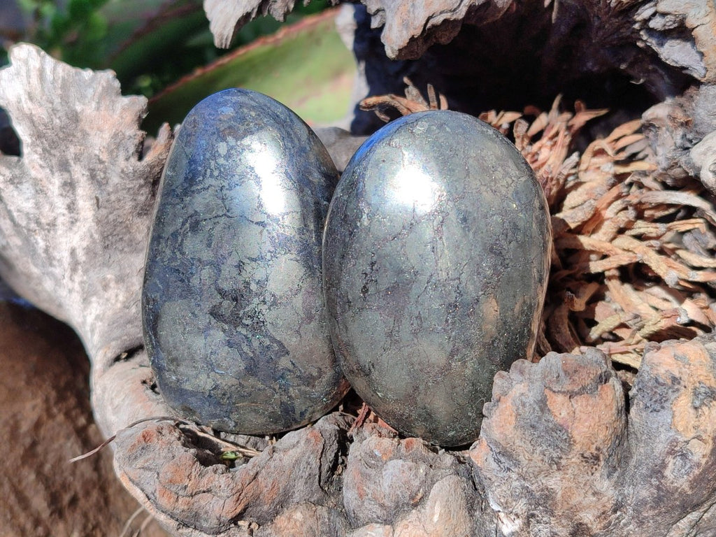 Polished Basalt Pharaoh Stone Free Forms x 12 From Iron Duke Mine, Zimbabwe - Toprock Gemstones and Minerals 