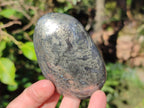 Polished Basalt Pharaoh Stone Free Forms x 12 From Iron Duke Mine, Zimbabwe - Toprock Gemstones and Minerals 