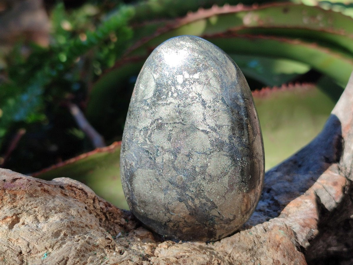 Polished Basalt Pharaoh Stone Free Forms x 12 From Iron Duke Mine, Zimbabwe - Toprock Gemstones and Minerals 