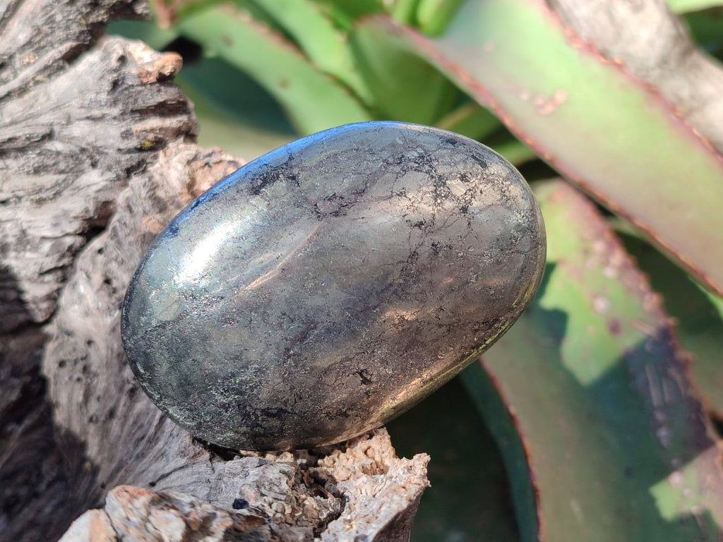 Polished Basalt Pharaoh Stone Free Forms x 12 From Iron Duke Mine, Zimbabwe - Toprock Gemstones and Minerals 