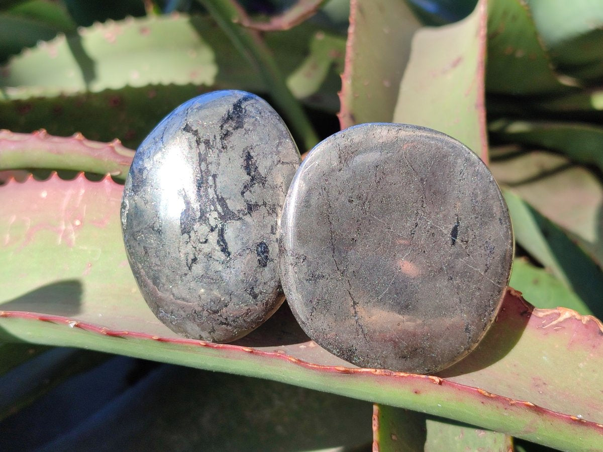 Polished Basalt Pharaoh Stone Free Forms x 12 From Iron Duke Mine, Zimbabwe - Toprock Gemstones and Minerals 