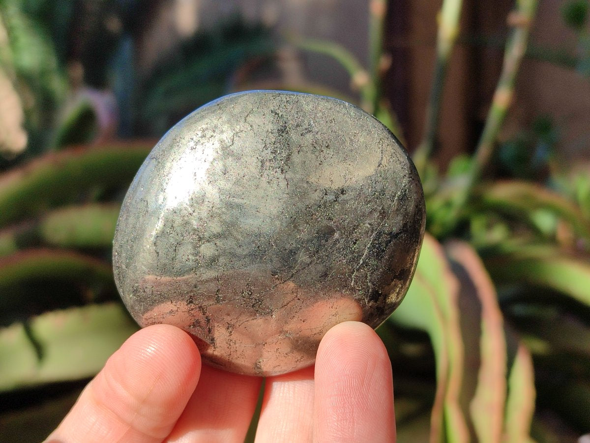 Polished Basalt Pharaoh Stone Free Forms x 12 From Iron Duke Mine, Zimbabwe - Toprock Gemstones and Minerals 
