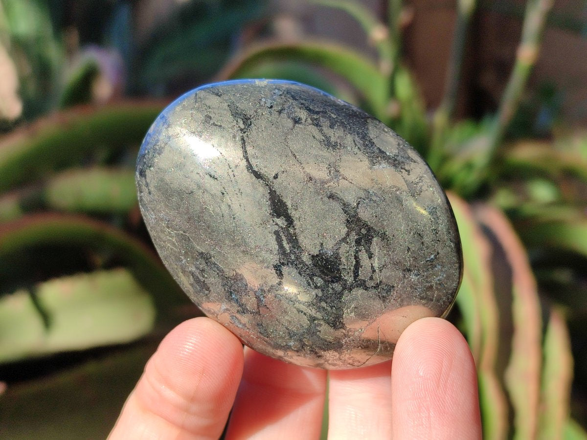 Polished Basalt Pharaoh Stone Free Forms x 12 From Iron Duke Mine, Zimbabwe - Toprock Gemstones and Minerals 