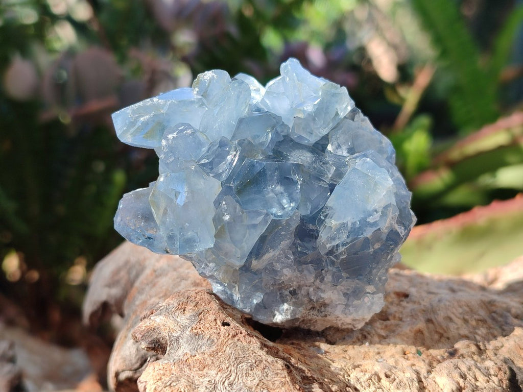 Natural Blue Celestite Specimens x 21 From Sakoany, Madagascar - Toprock Gemstones and Minerals 
