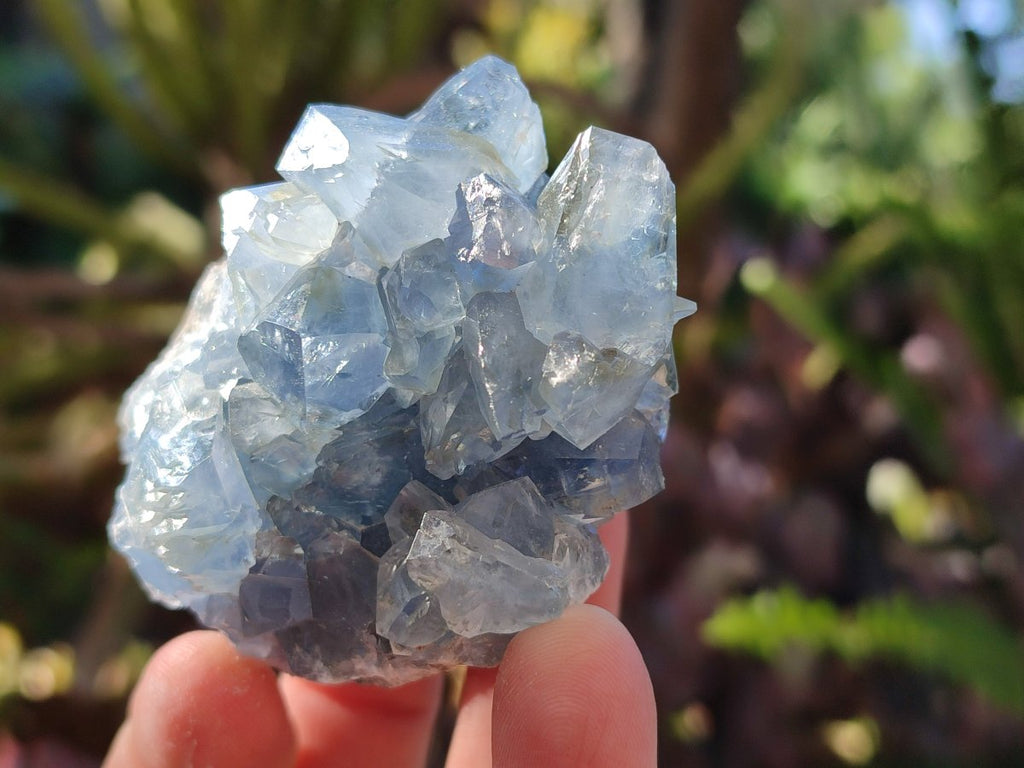 Natural Blue Celestite Specimens x 21 From Sakoany, Madagascar - Toprock Gemstones and Minerals 