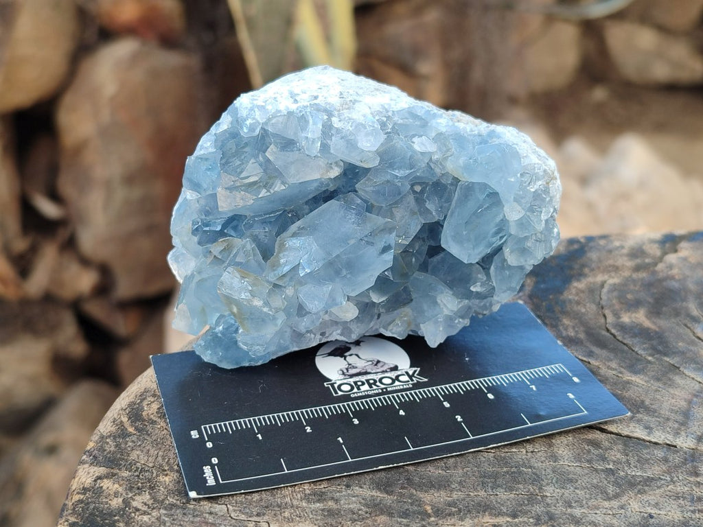 Natural Blue Celestite Specimens x 21 From Sakoany, Madagascar - Toprock Gemstones and Minerals 