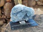 Natural Blue Celestite Specimens x 21 From Sakoany, Madagascar - Toprock Gemstones and Minerals 