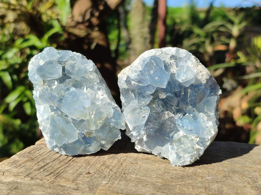 Natural Blue Celestite Specimens x 21 From Sakoany, Madagascar - Toprock Gemstones and Minerals 
