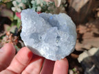 Natural Blue Celestite Specimens x 21 From Sakoany, Madagascar - Toprock Gemstones and Minerals 