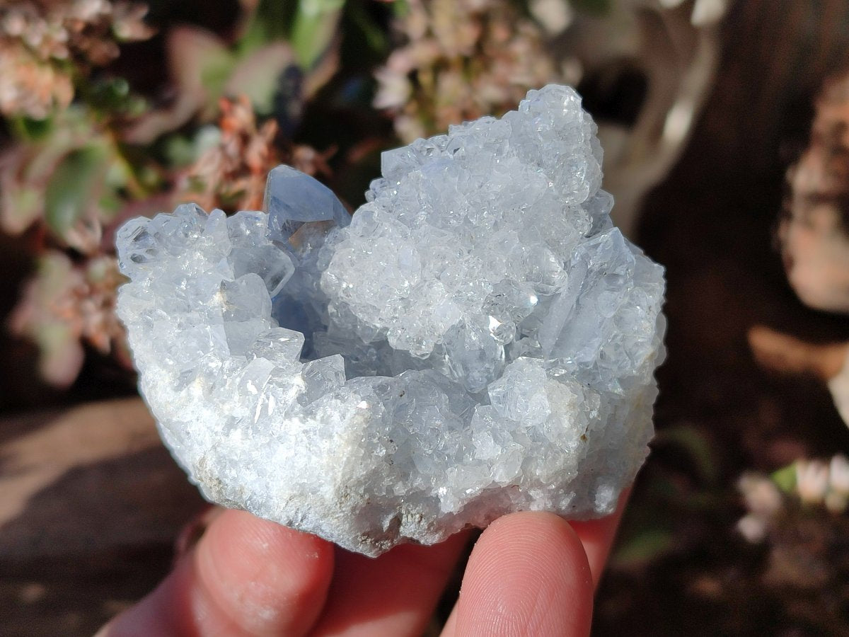Natural Blue Celestite Specimens x 21 From Sakoany, Madagascar - Toprock Gemstones and Minerals 