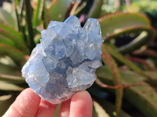 Natural Blue Celestite Specimens x 21 From Sakoany, Madagascar - Toprock Gemstones and Minerals 