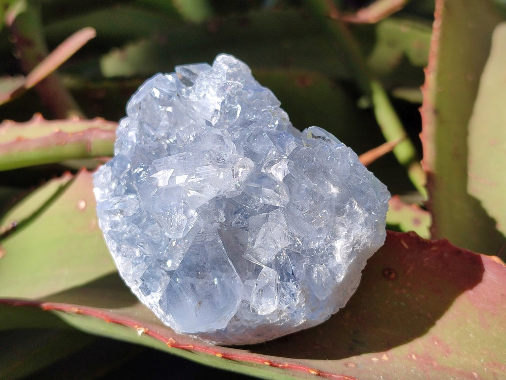 Natural Blue Celestite Specimens x 21 From Sakoany, Madagascar - Toprock Gemstones and Minerals 