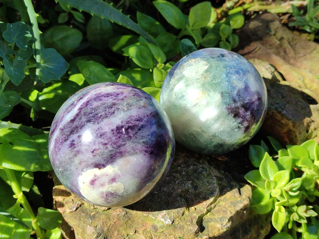 Polished Watermelon Fluorite Spheres x 2 From Uis, Namibia - Toprock Gemstones and Minerals 