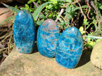 Polished Blue Apatite Standing Display Pieces x 3 From Betroka, Madagascar - Toprock Gemstones and Minerals 