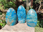Polished Blue Apatite Standing Display Pieces x 3 From Betroka, Madagascar - Toprock Gemstones and Minerals 