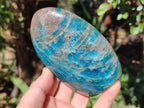 Polished Blue Apatite Standing Display Pieces x 3 From Betroka, Madagascar - Toprock Gemstones and Minerals 