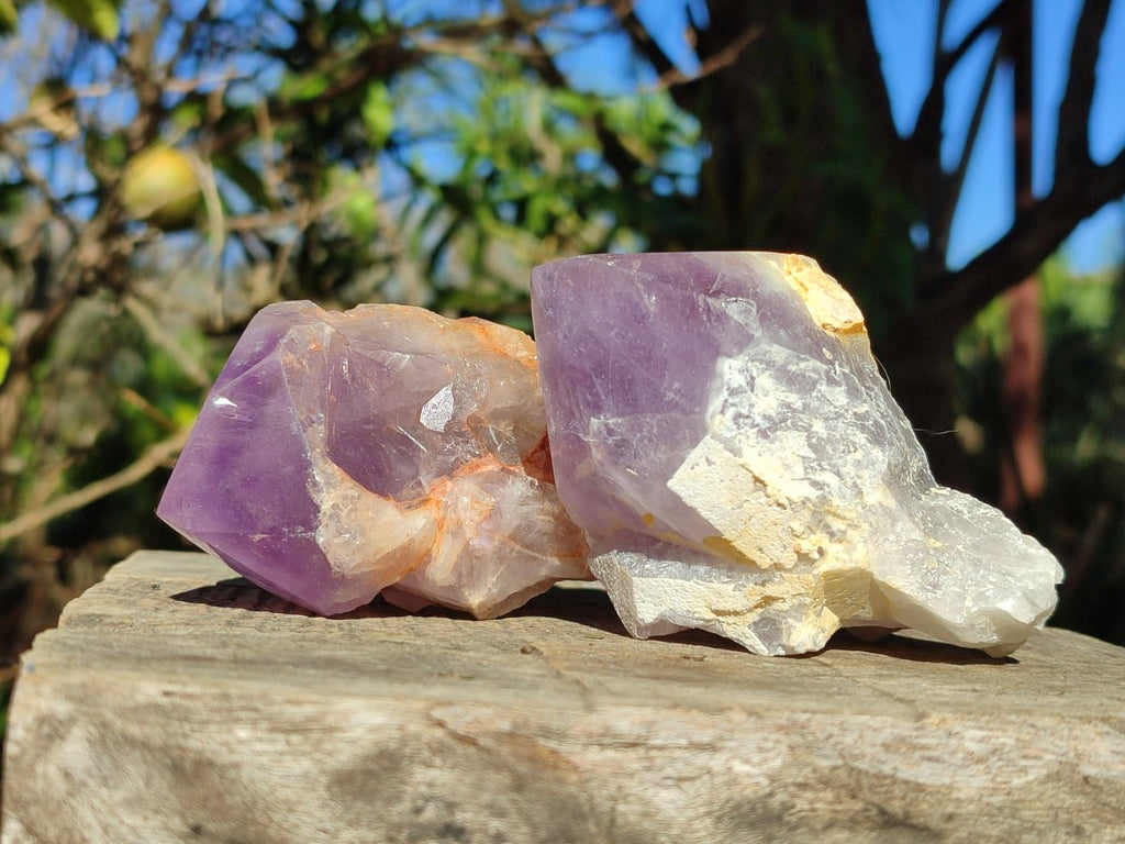 Polished Large Jacaranda Amethyst Single Crystals x 9 From Mumbwa, Zambia - Toprock Gemstones and Minerals 