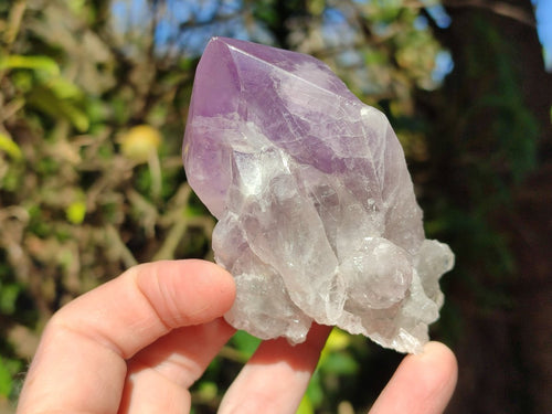 Polished Large Jacaranda Amethyst Single Crystals x 9 From Mumbwa, Zambia - Toprock Gemstones and Minerals 