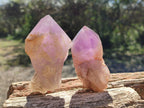 Polished Large Jacaranda Amethyst Single Crystals x 9 From Mumbwa, Zambia - Toprock Gemstones and Minerals 