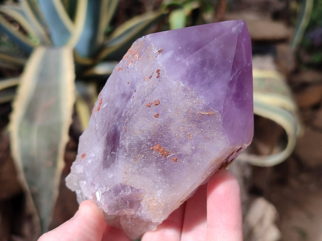 Polished Large Jacaranda Amethyst Single Crystals x 9 From Mumbwa, Zambia - Toprock Gemstones and Minerals 
