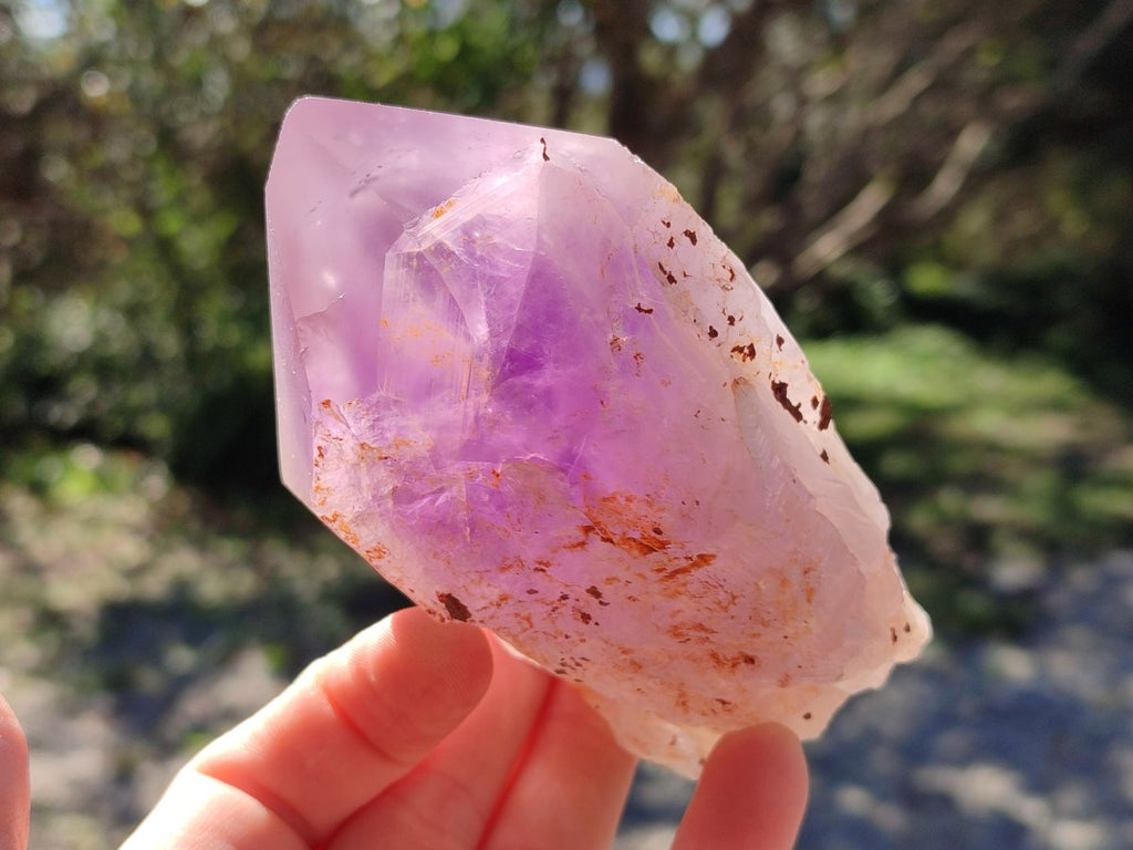 Polished Large Jacaranda Amethyst Single Crystals x 9 From Mumbwa, Zambia - Toprock Gemstones and Minerals 