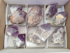 Polished Large Jacaranda Amethyst Single Crystals x 9 From Mumbwa, Zambia - Toprock Gemstones and Minerals 
