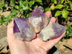 Polished Large Jacaranda Amethyst Single Crystals x 9 From Mumbwa, Zambia - Toprock Gemstones and Minerals 