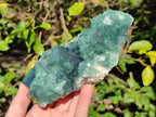 Natural Cabinet Sized Green Cubic Fluorite Specimens x 2 From Mandrosonoro, Madagascar - Toprock Gemstones and Minerals 