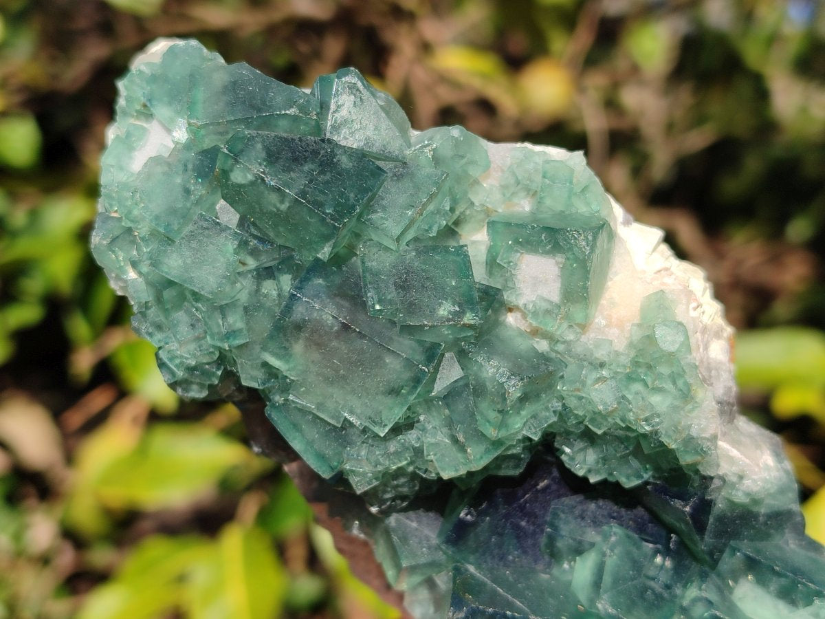 Natural Cabinet Sized Green Cubic Fluorite Specimens x 2 From Mandrosonoro, Madagascar - Toprock Gemstones and Minerals 