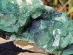 Natural Cabinet Sized Green Cubic Fluorite Specimens x 2 From Mandrosonoro, Madagascar - Toprock Gemstones and Minerals 