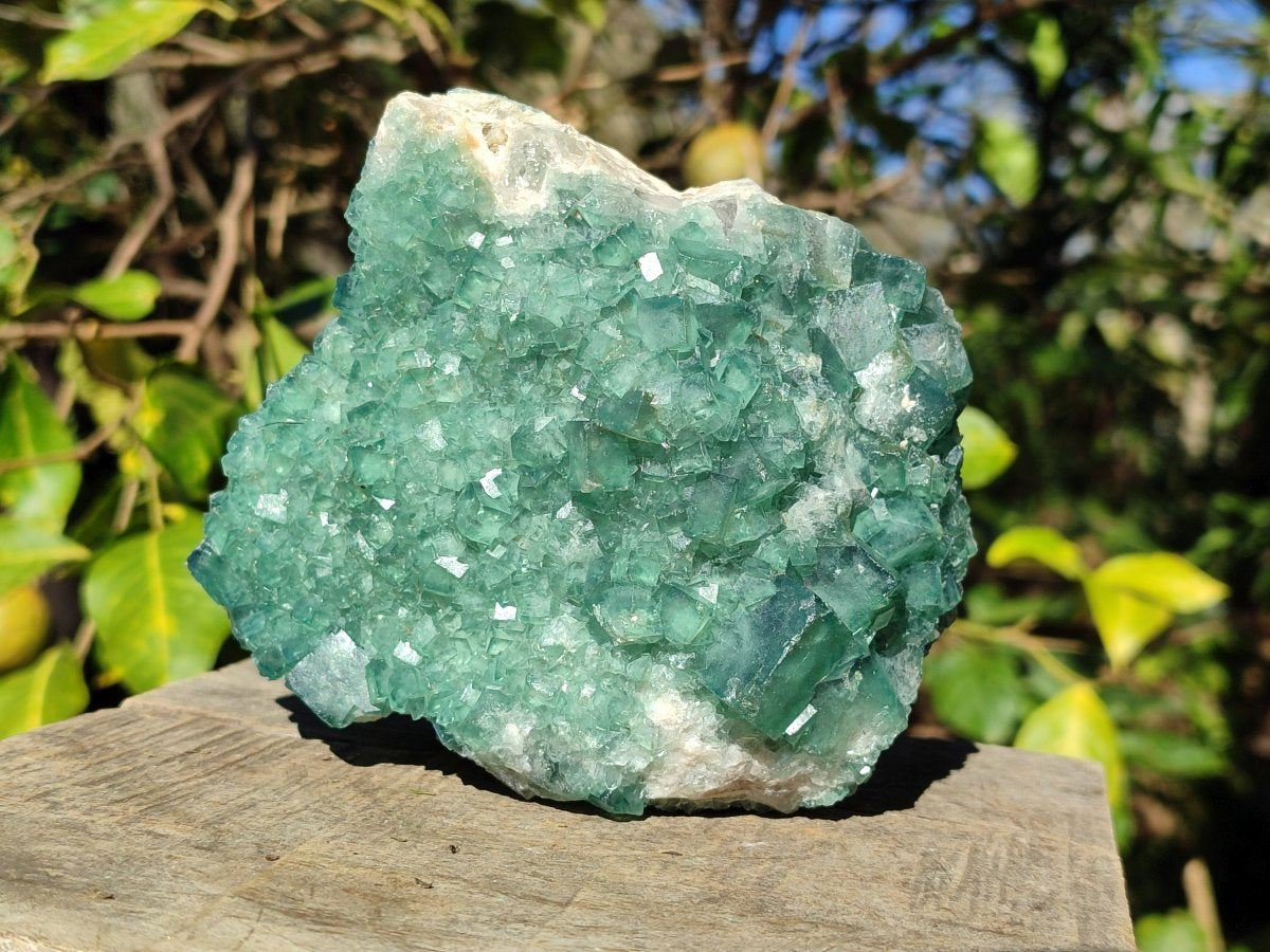 Natural Cabinet Sized Green Cubic Fluorite Specimens x 2 From Mandrosonoro, Madagascar - Toprock Gemstones and Minerals 