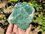 Natural Cabinet Sized Green Cubic Fluorite Specimens x 2 From Mandrosonoro, Madagascar - Toprock Gemstones and Minerals 