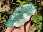 Natural Cabinet Sized Green Cubic Fluorite Specimens x 2 From Mandrosonoro, Madagascar - Toprock Gemstones and Minerals 