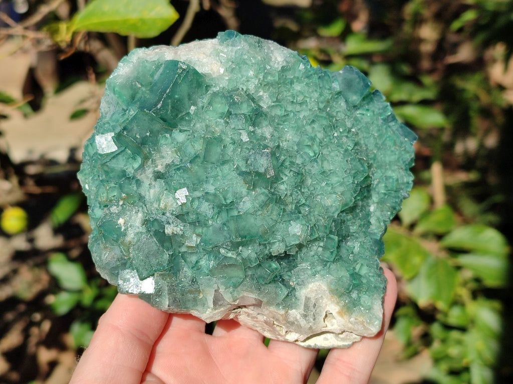 Natural Cabinet Sized Green Cubic Fluorite Specimens x 2 From Mandrosonoro, Madagascar - Toprock Gemstones and Minerals 