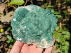 Natural Cabinet Sized Green Cubic Fluorite Specimens x 2 From Mandrosonoro, Madagascar - Toprock Gemstones and Minerals 