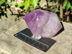 Polished Window Amethyst Double Terminated Crystals x 2 From Akansobe, Madagascar - Toprock Gemstones and Minerals 