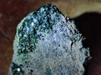Natural Libethenite Specimens on Dolomite Matrix Specimens x 2 From Shituru, Congo - Toprock Gemstones and Minerals 