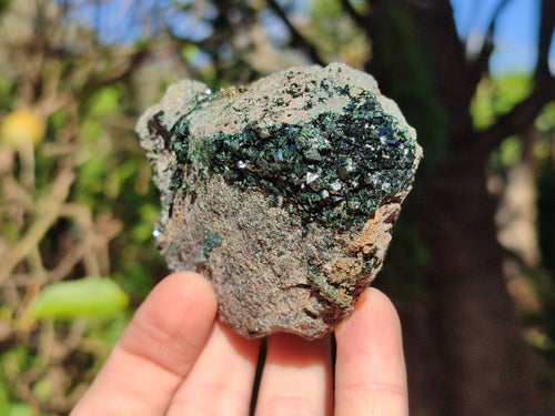 Natural Libethenite Specimens on Dolomite Matrix Specimens x 2 From Shituru, Congo - Toprock Gemstones and Minerals 
