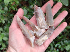 Natural Drusi Fairy Spirit Quartz Clusters and Crystals x 35 From Boekenhouthoek, South Africa - Toprock Gemstones and Minerals 