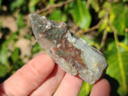 Natural Drusi Fairy Spirit Quartz Clusters and Crystals x 35 From Boekenhouthoek, South Africa - Toprock Gemstones and Minerals 