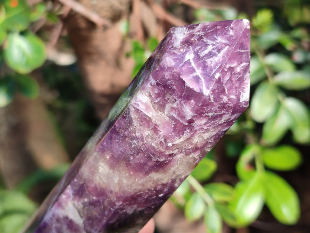 Polished Lepidolite Display Crystals x 6 From Ambatondrazaka, Madagascar - Toprock Gemstones and Minerals 