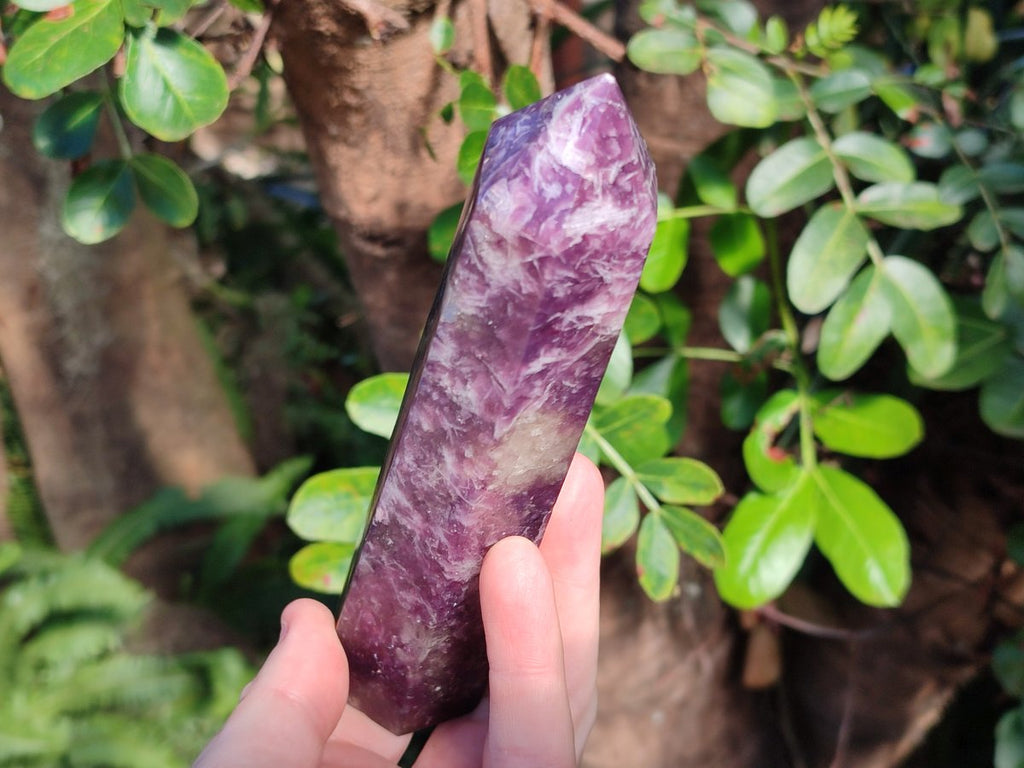 Polished Lepidolite Display Crystals x 6 From Ambatondrazaka, Madagascar - Toprock Gemstones and Minerals 