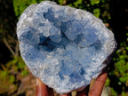 Natural Blue Celestite Geode Specimens x 2 From Sakoany, Madagascar - Toprock Gemstones and Minerals 