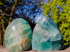 Polished Green Fluorite and Watermelon Fluorite Standing Display Pieces x 2 From Southern Africa - Toprock Gemstones and Minerals 