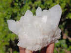 Natural Cascading Candle Quartz Clusters x 6 From Antsirabe, Madagascar - Toprock Gemstones and Minerals 
