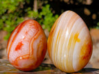 Polished Carnelian Agate Gemstone Eggs x 6 From Madagascar - Toprock Gemstones and Minerals 
