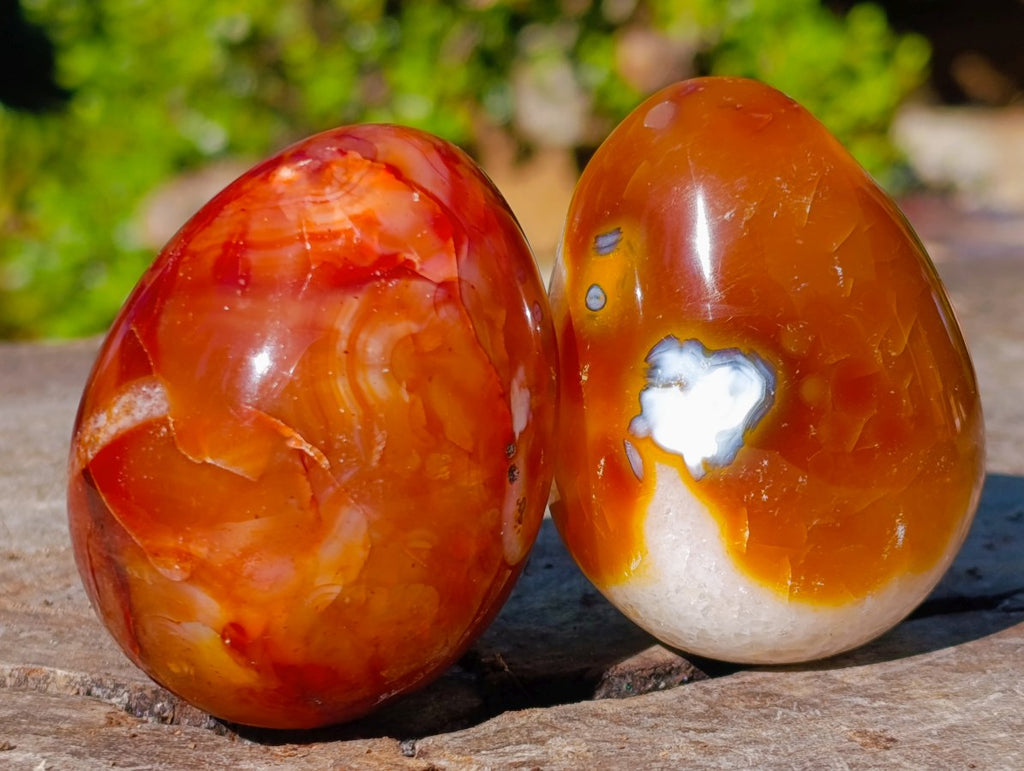 Polished Carnelian Agate Gemstone Eggs x 6 From Madagascar - Toprock Gemstones and Minerals 